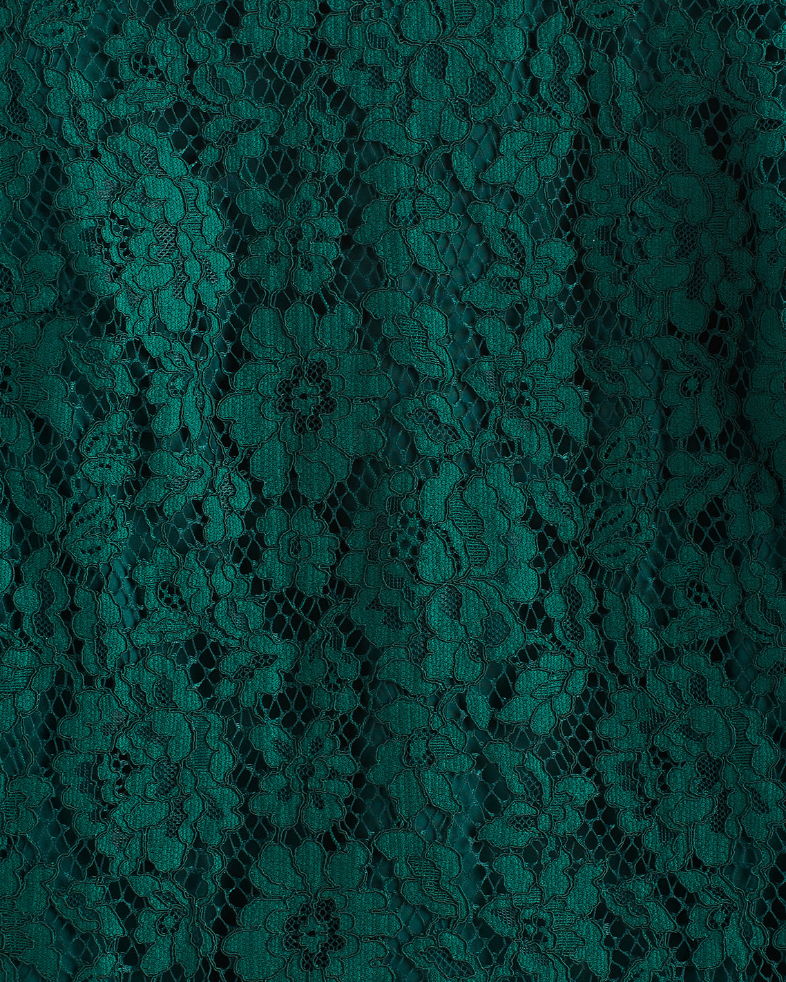 Lace Pants | Women's Dressy Pants by Draper James | Draper James Best Price