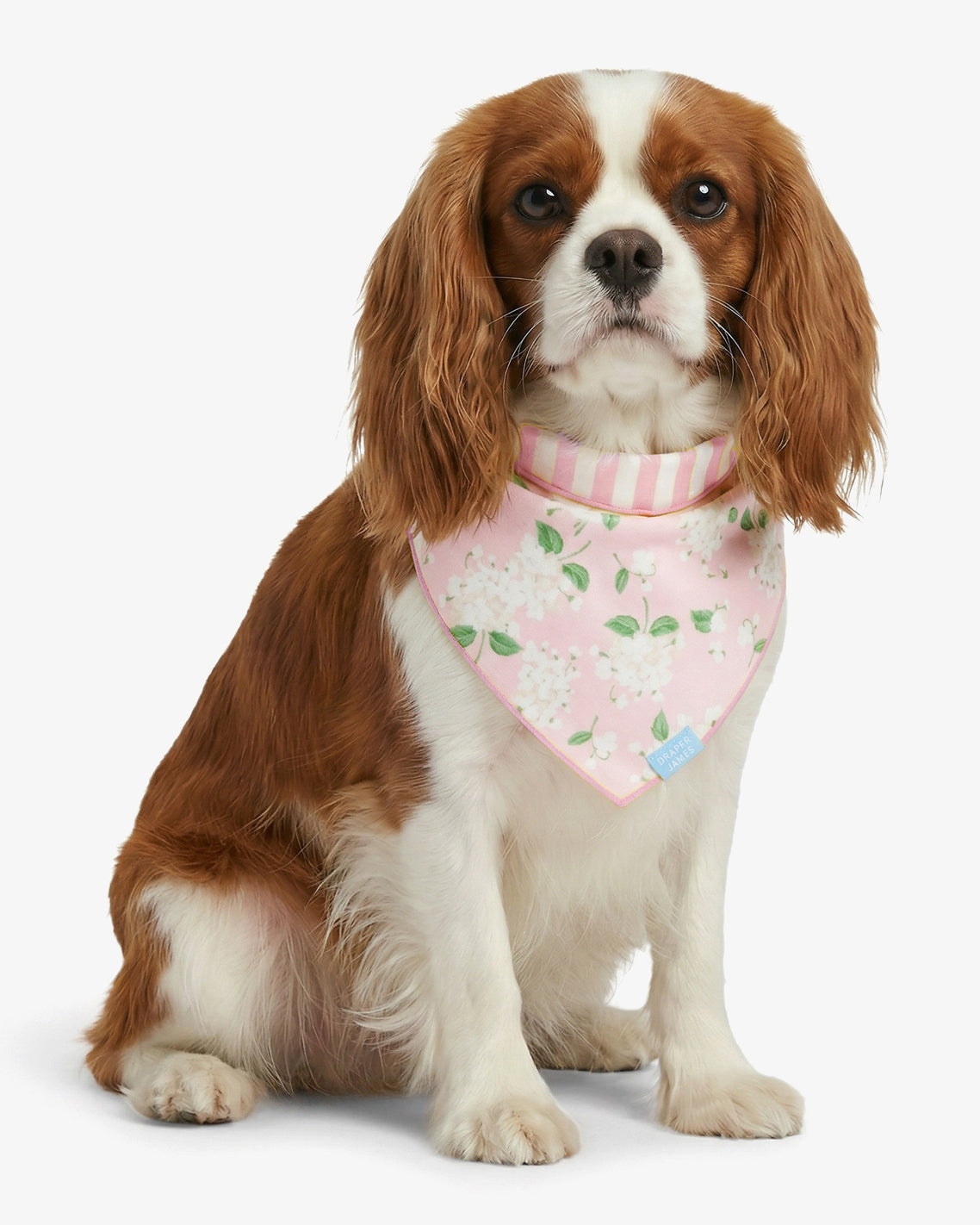 Pink Reversible Hydrangea Bandana | Draper James New