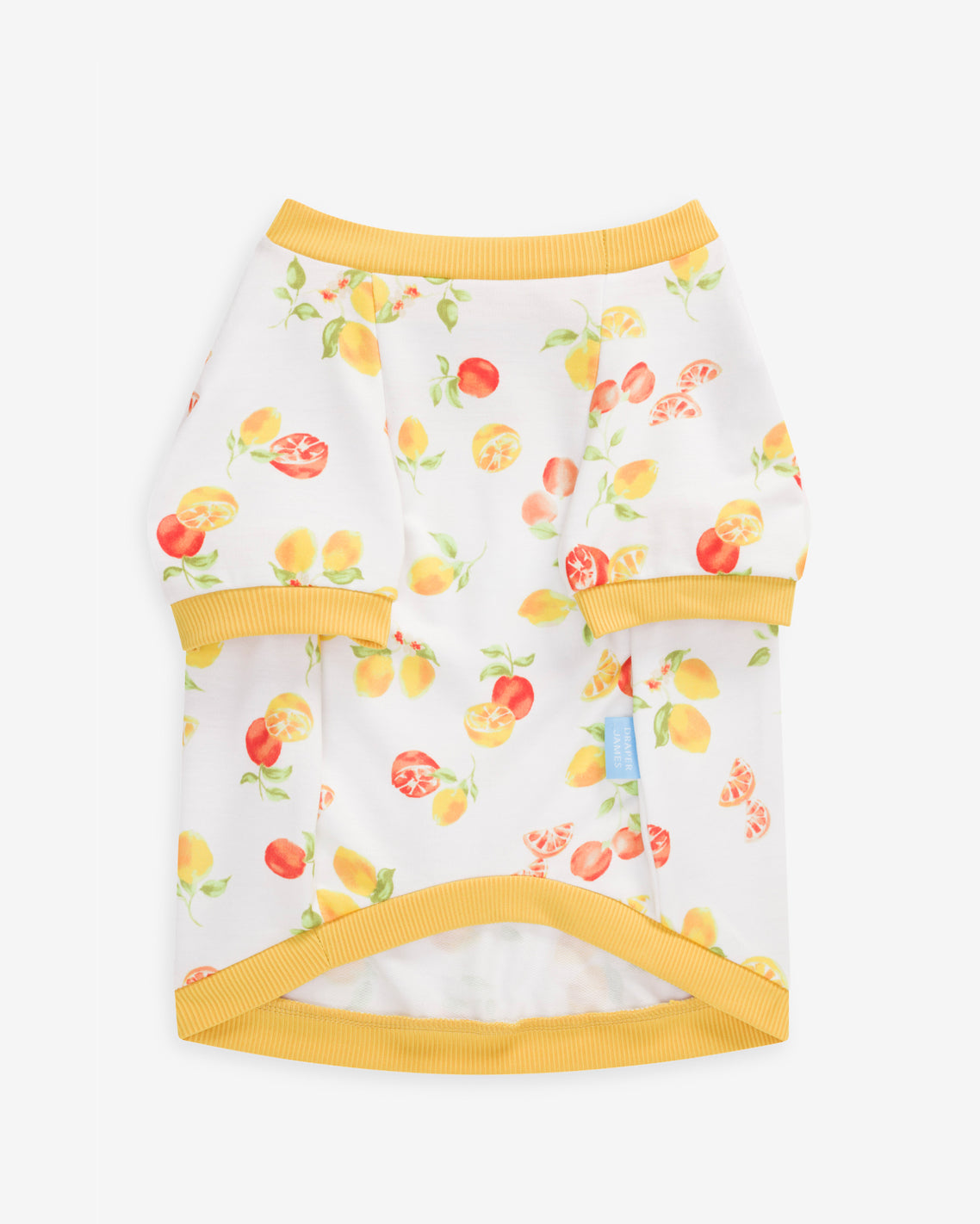 White Watercolor Citrus Sweatshirt | Draper James Essential