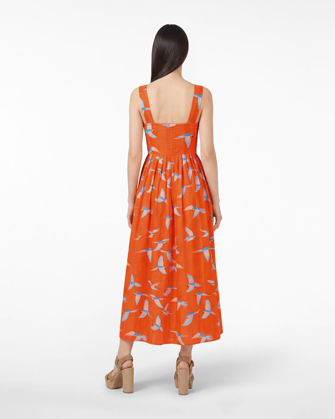 Esme Midi Dress in Parrot Print | Draper James Best Seller