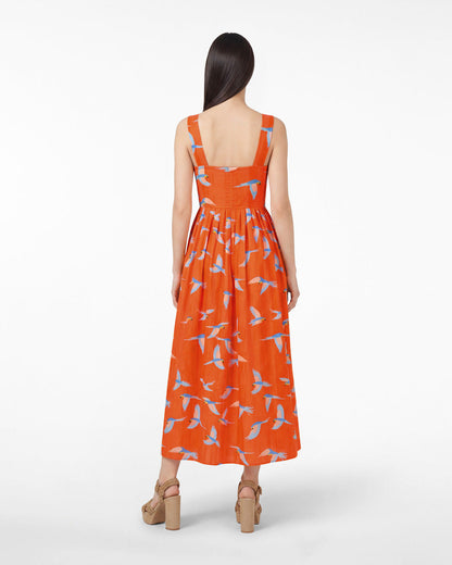 Esme Midi Dress in Parrot Print | Draper James Best Seller