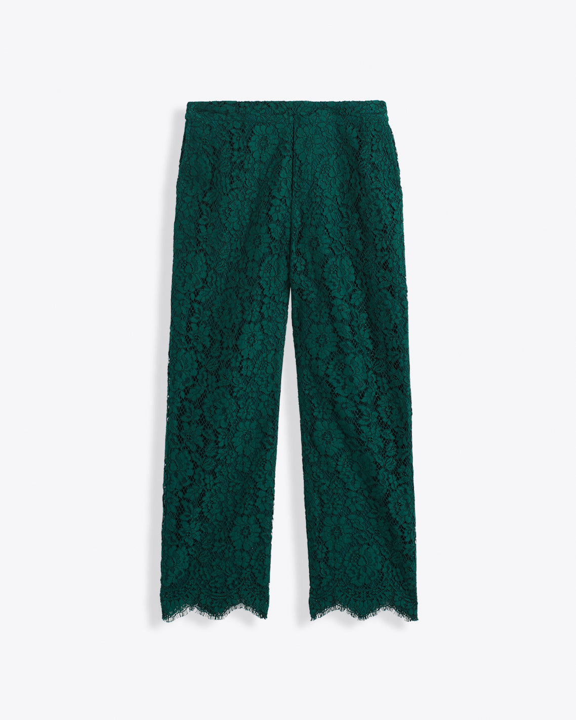Lace Pants | Women's Dressy Pants by Draper James | Draper James Best Price