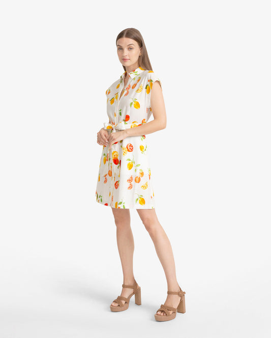 Trisha Citrus Print Dress | Draper James Discount