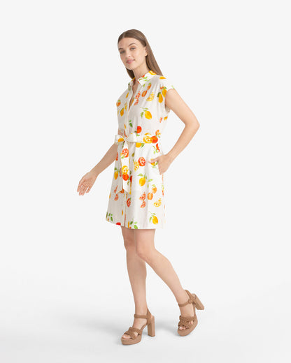 Trisha Citrus Print Dress | Draper James Discount