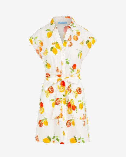 Trisha Citrus Print Dress | Draper James Discount