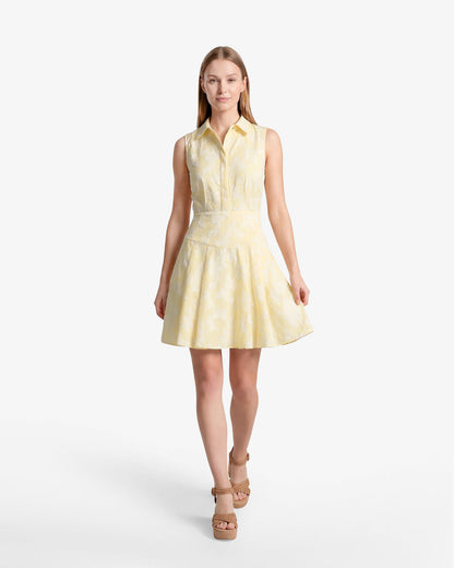 Brighton Mini Collared Dress in Striped Fil Coupe | Draper James Classic