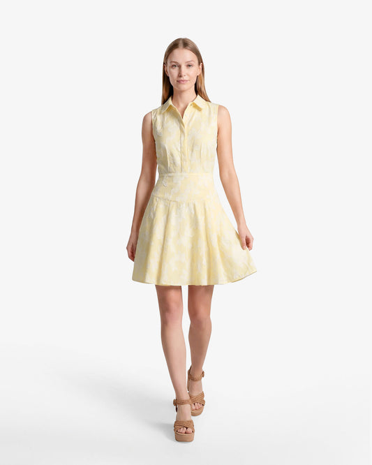 Brighton Mini Collared Dress in Striped Fil Coupe | Draper James Classic