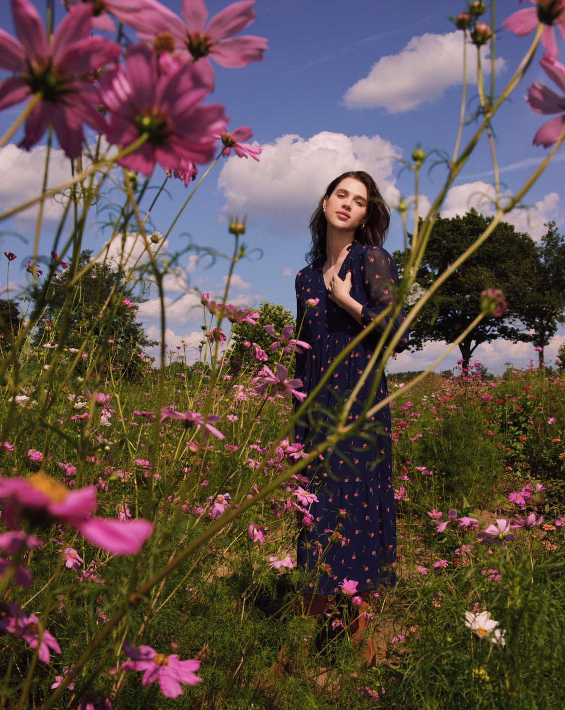 Katie Midi Dress in Ditsy Autumn Flowers | Draper James Latest