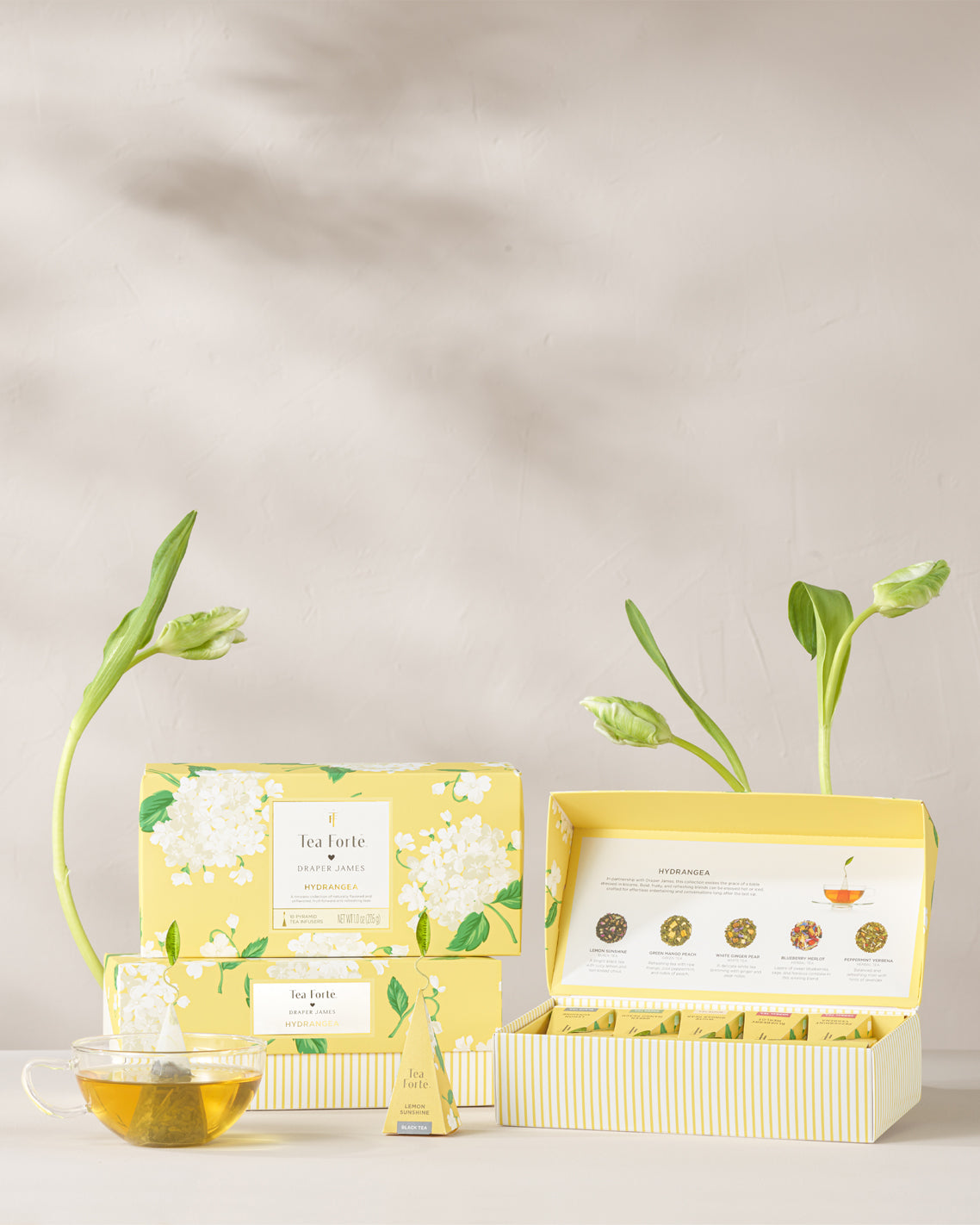 Hydrangea Presentation Box | Draper James Classic