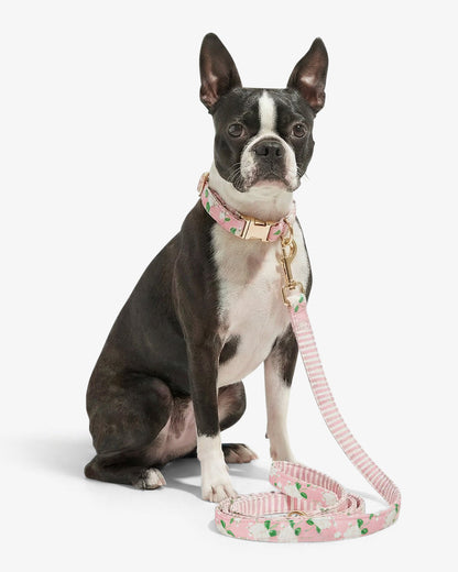 Pink Hydrangea Print Leash | Draper James Signature