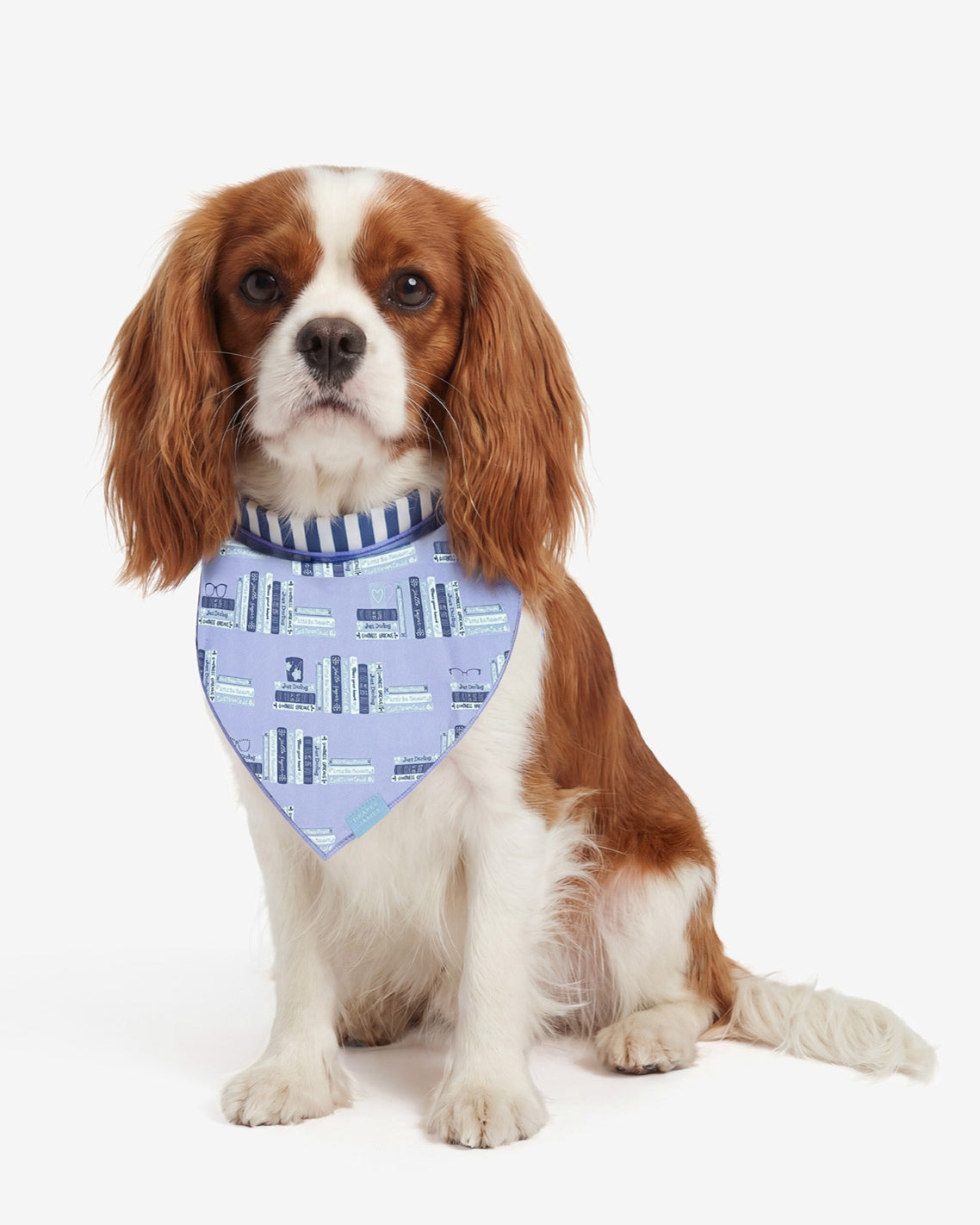 Blue Reversible Book Print Bandana | Draper James Deals