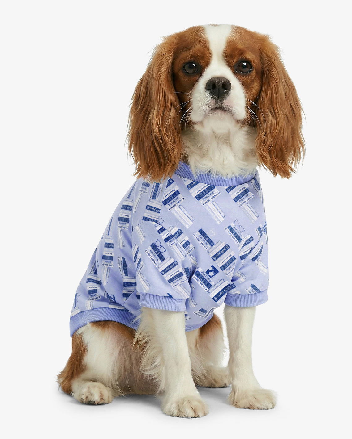 Blue Book Print Sweatshirt | Draper James Great Value
