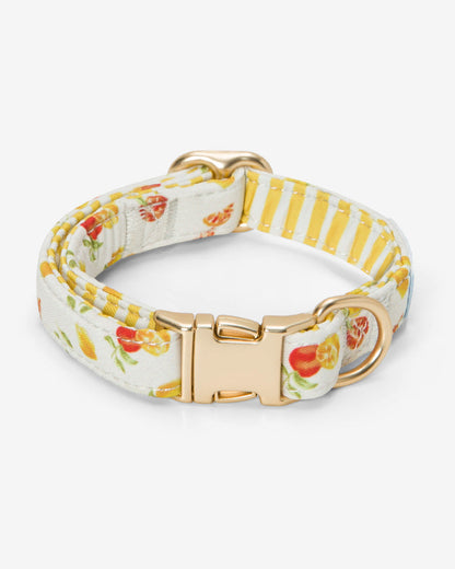 White Watercolor Citrus Collar | Draper James Quality
