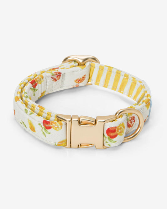 White Watercolor Citrus Collar | Draper James Quality