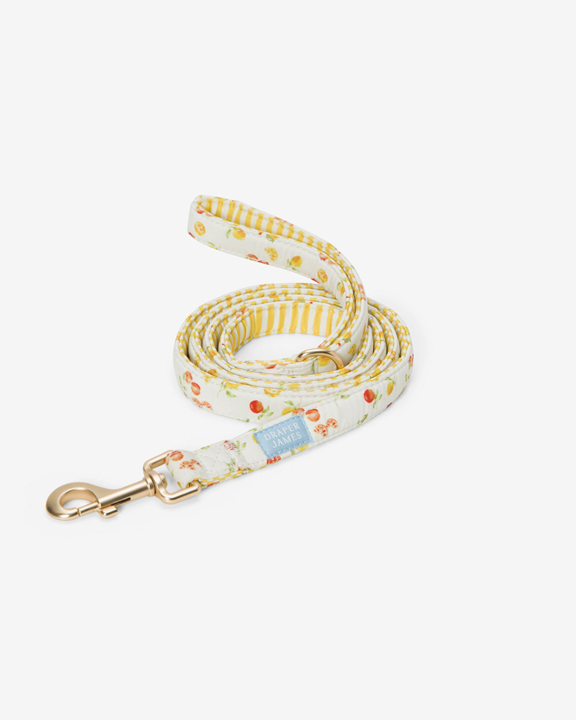 White Watercolor Citrus Leash | Draper James Best Price