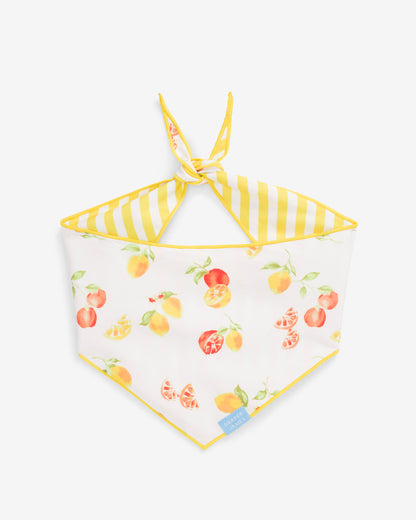 Yellow Reversible Citrus Bandana | Draper James Smart Buy