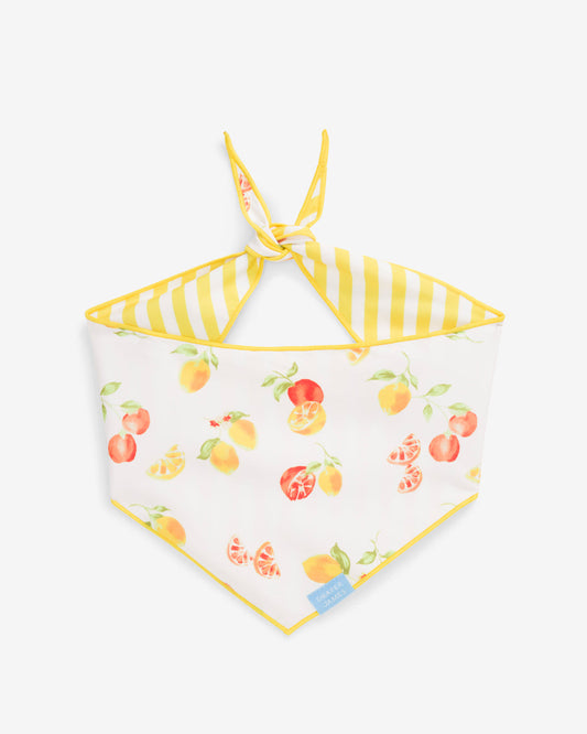 Yellow Reversible Citrus Bandana | Draper James Smart Buy
