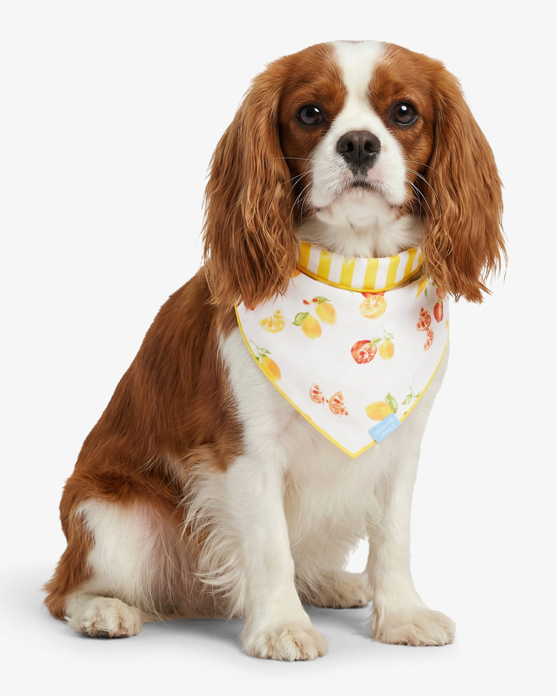 Yellow Reversible Citrus Bandana | Draper James Smart Buy