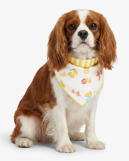Yellow Reversible Citrus Bandana | Draper James Smart Buy