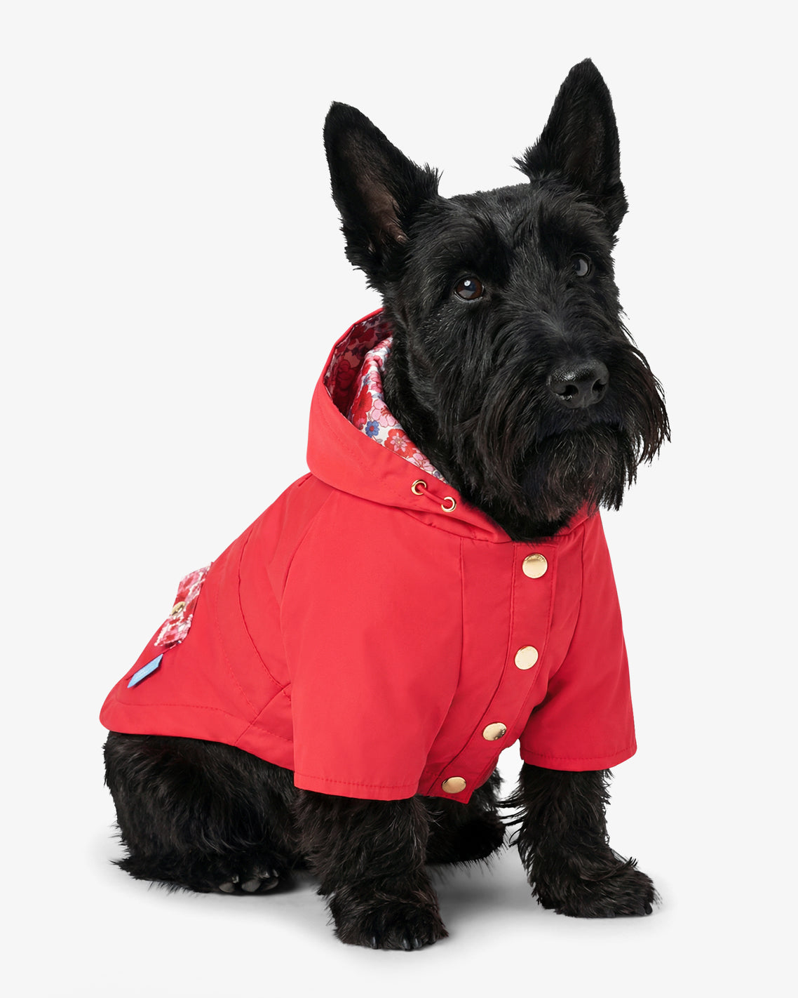 Red Hooded Pocket Jacket | Draper James Premium