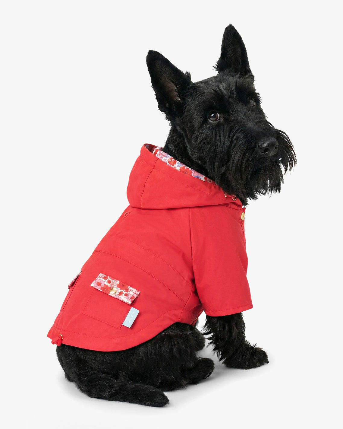 Red Hooded Pocket Jacket | Draper James Premium
