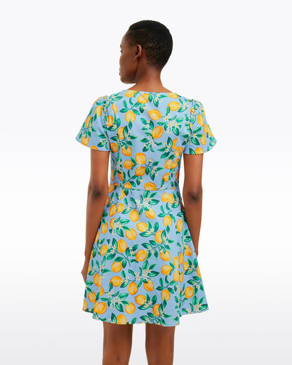 Mae Love Circle Dress in Lemon Blossom | Draper James Special Offer